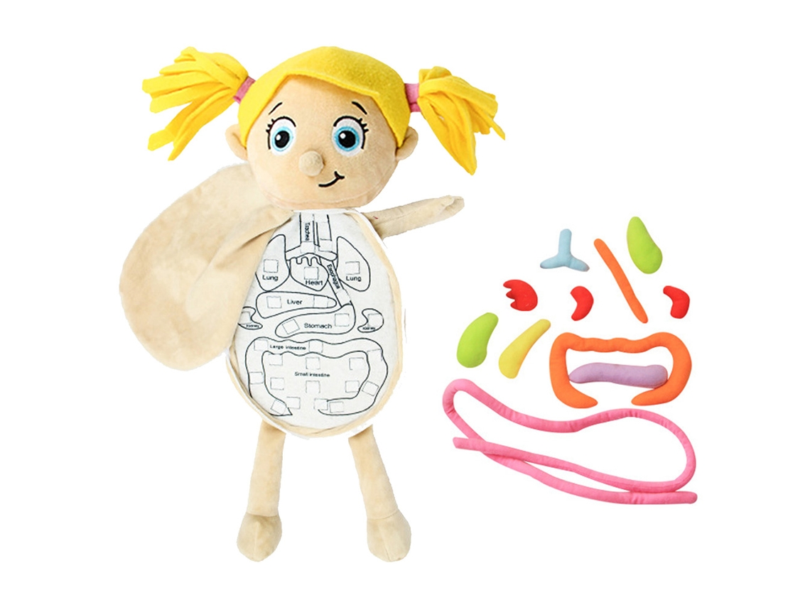 Brinquedo Anatômico Corpo Humano Boneca Órgãos Removíveis Modelo Educativo Infantil