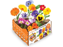 Huerto Urbano BATLLE Flores Comestibles