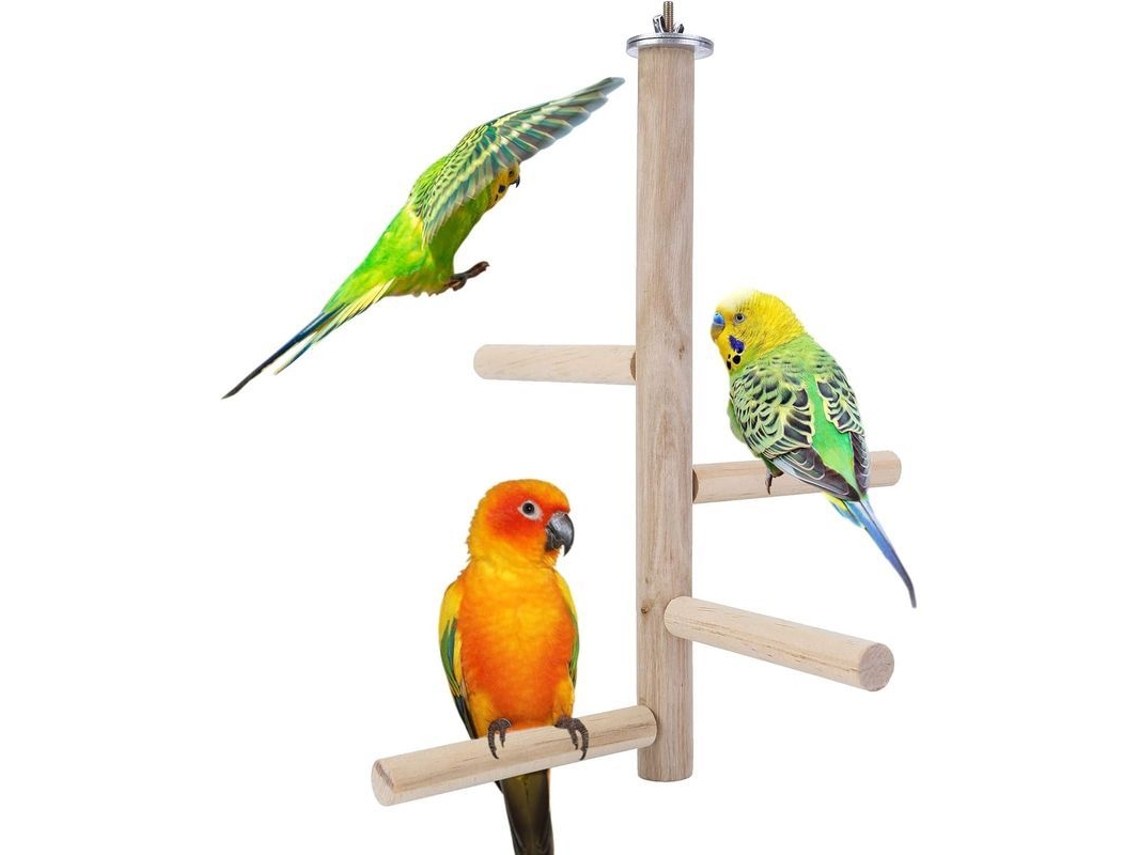 2026-percha De Madera Natural Para Periquitos, Accesorio De Jaula De Aves Para Pericos Y Loros Pequeños-medios
