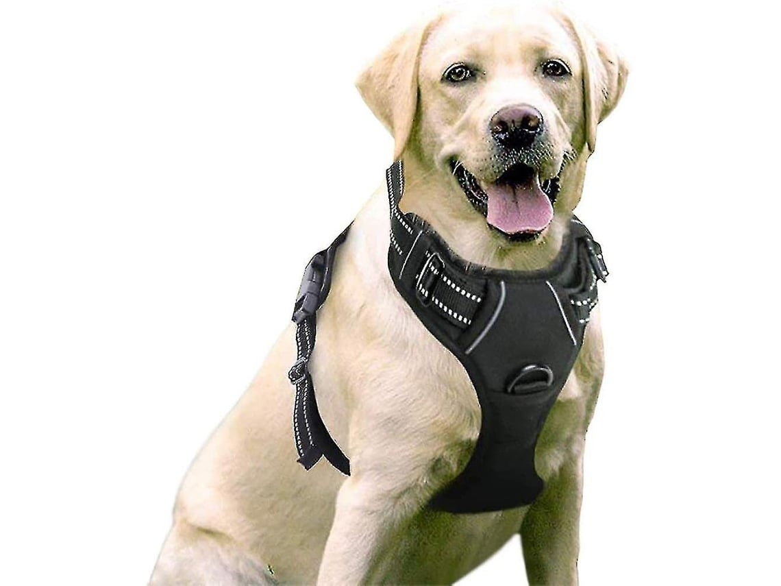 El Arnés Ajustable Para Hombros Y Pecho Minimiza Los Tirones, Lo Que Lo Hace Adecuado Para Entrenar Y Pasear Perros Grandes, Y Su Diseño Erg