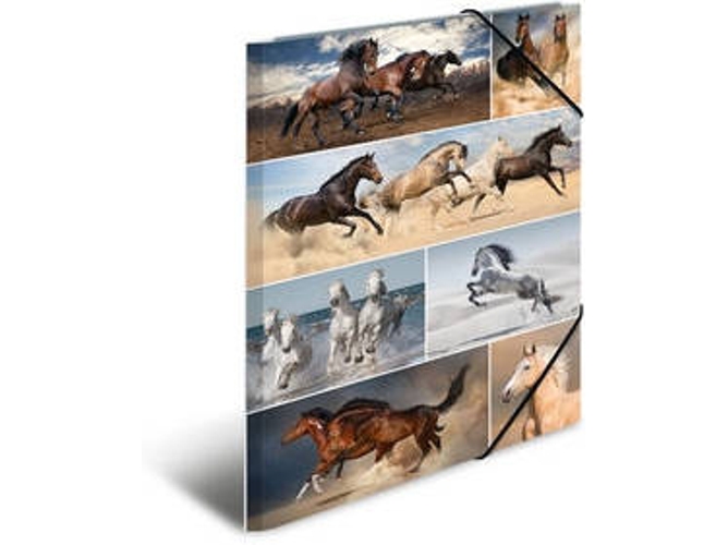 Carpeta HERMA Multicolor (A3 - Cartón)