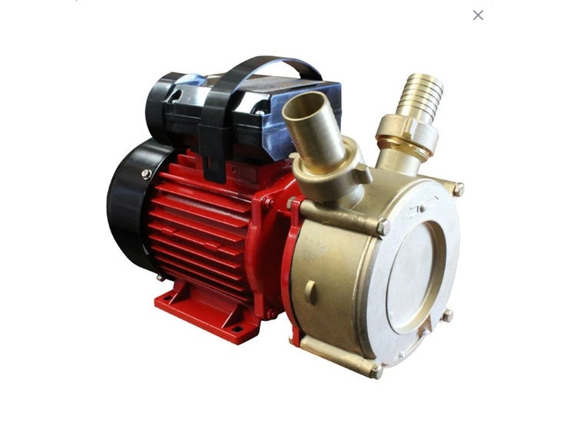 Bricoferr Bomba De Trasiego 65l/min