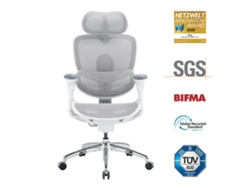SIHOO Doro C300 Pro V2 Silla de oficina ergonómica sin reposapiés, soporte adaptativo para todo el cuerpo (blanco)