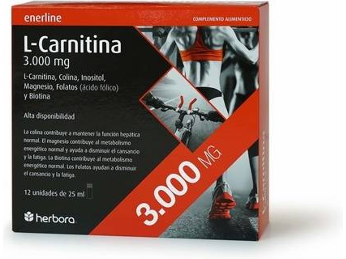 Complemento Alimentar HERBORA L-Carnitina (3000 mg - 25 ml - 1 Unidade)