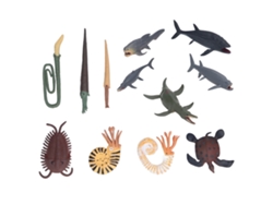 Jinwei-12 Piezas Modelos De Animales Marinos Antiguos Juguetes Simulación Exquisita Figuras Regalo