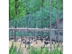 2026-red De Protección Para Jardín Y Cultivos Anti Aves Ciervos Perros Gatos Pollos Resistente Uv Nylon