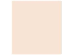 Cartulina CANSON Beige (50 x 65 cm - 25 Unidads - 240 g/m²)
