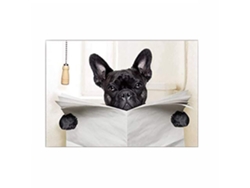Imagen De Un Perro Leyendo Un Periódico, Póster, Decoración De Pared, Decoración Del Hogar, Sala De Estar, Baño.