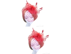 2 piezas de accesorios de plumas