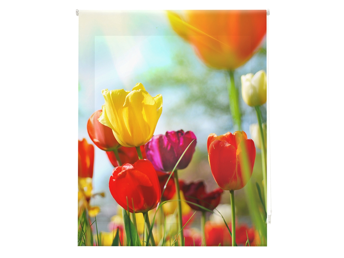 Estor Enrollable HAPPYSTOR Estampado Digital Paisajes HSP93004 200x250 cm