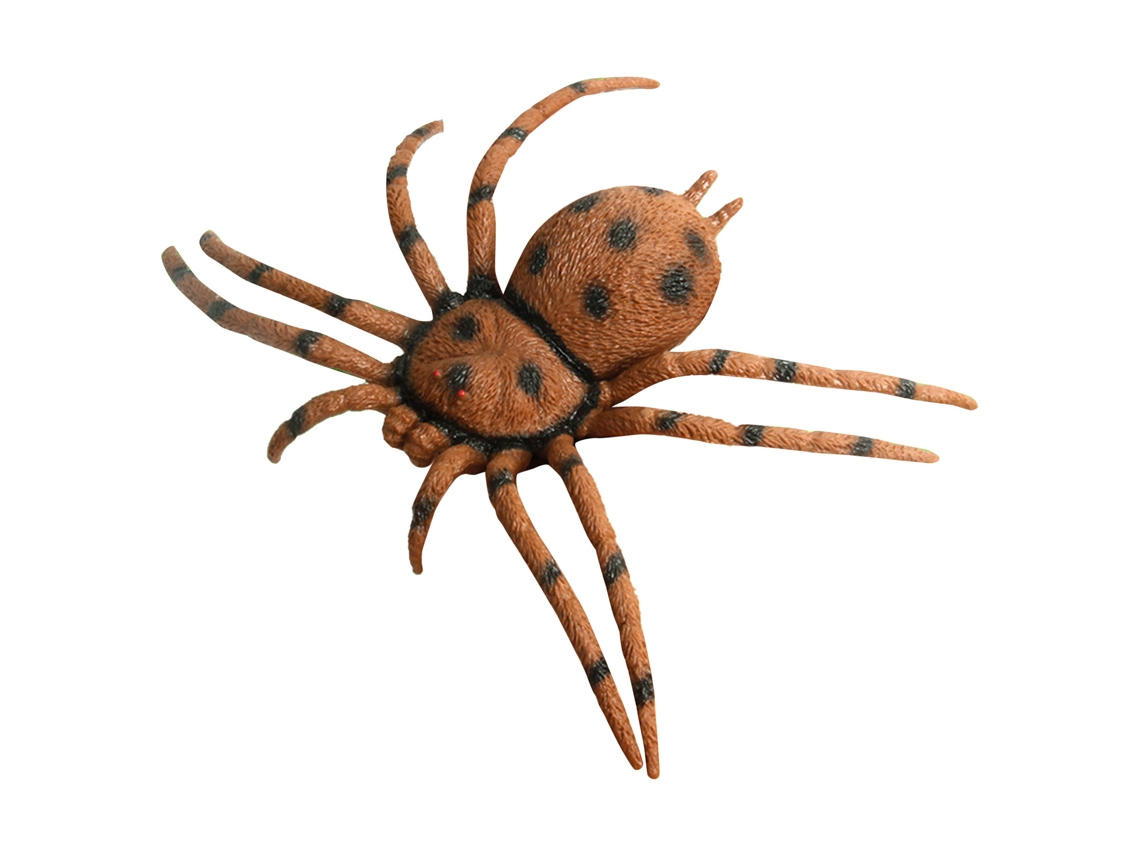 Modelo de araña simulada grande, realista y exquisito de Walshlxq, un juguete de araña marrón para la enseñanza y el entretenimiento.