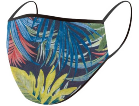 Máscara para Hombre WIND X-TREME Wdx Multicolor para Esquí (M)