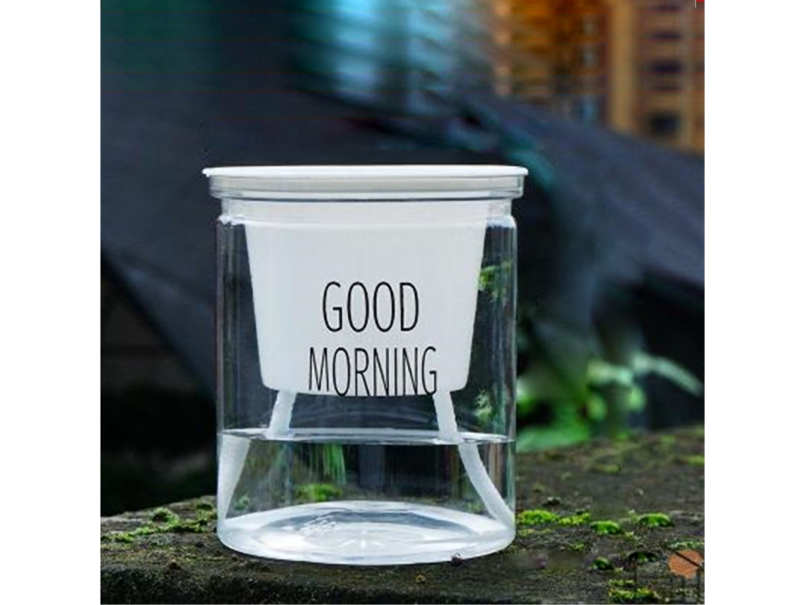 Maceta transparente con sistema de autorriego para oficina y hogar.