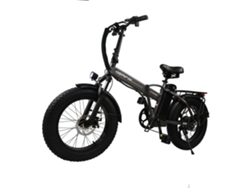 Bicicleta Eléctrica Baolujie Dz2002 Con Neumáticos Anchos Para Adultos, Batería Extraíble De 48 V Y 16 Ah.