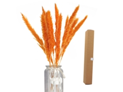 Ramo De Flores De Hierba De La Pampa Secas Naturales Para Decoración Del Hogar Estilo Bohemio, 40-45 Cm, 45 Unidades.