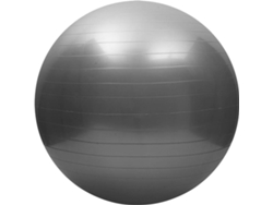 Balón de Yoga ANSELF Plateado (45cm)