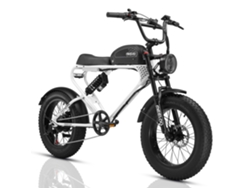 Bicicleta Eléctrica Estilo Ciclomotor Retro Meelod Dk300 Plus De 20 Pulgadas Con Batería De 48 V Y 20 Ah.