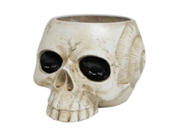 Jarrón Gótico Con Forma De Calavera Para Suculentas - Decoración Para El Hogar Y La Oficina