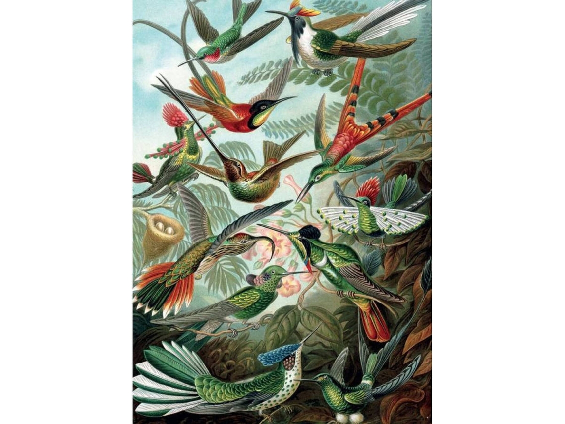 Puzzle PIATNIK Haeckel Colibris (Edad Mínima: 10 Años - 1000 Piezas)