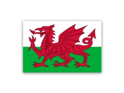 (gales) Bandera, Bandera Nacional, Bandera De Apoyo A Partidos De Fútbol, 3*5 Pies