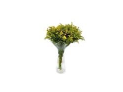 Solidago | Flor Natural | Ramo de 25 tallos | Amarillo | 80cm de alto
