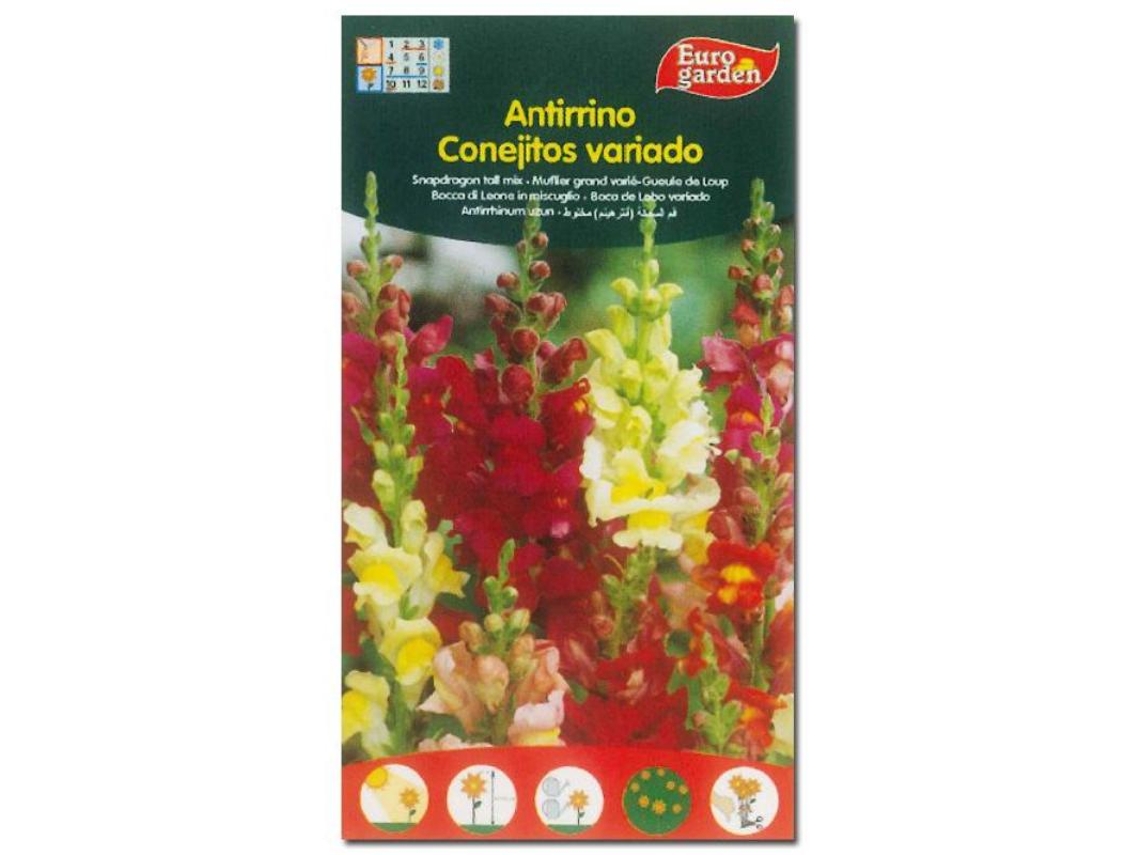 Fito Flores Semillas Antirrhinum Conejitos Variados 00505 Caja 10 Unidades FPLUS