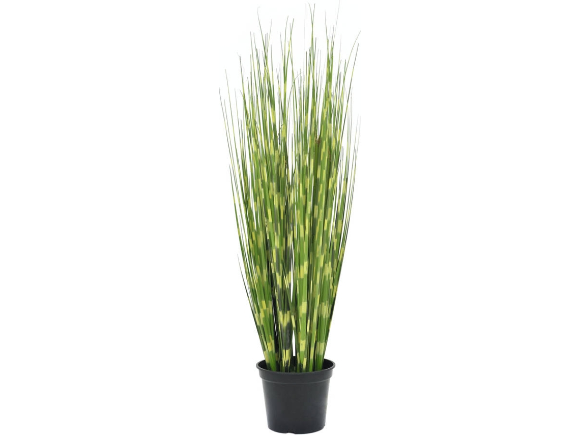 Planta Artificial EUROPALMS Zebra (90cm)