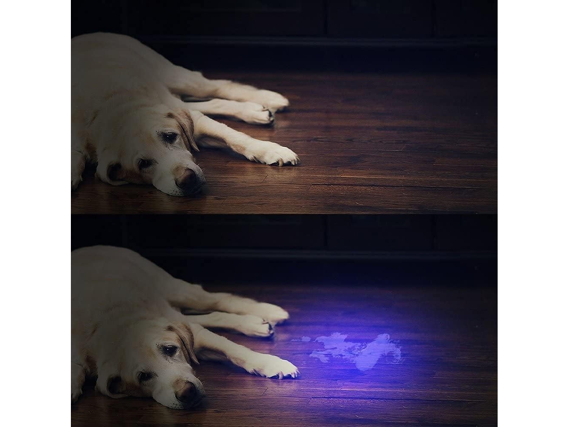 Linterna UV 51 LEDs KOFIHETY (para alfombras/muebles de mascotas) KOFIHETY