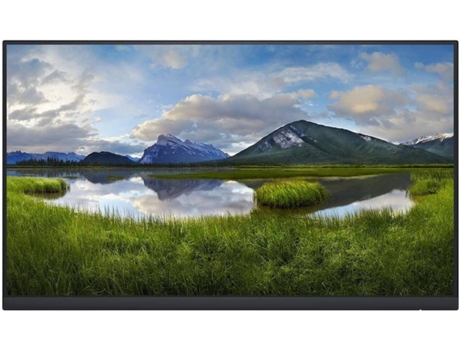 Monitor DELL P2422H_WOST (23.8'' - FHD - LCD)