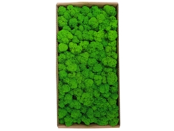 Musgo Natural Preservado Para Decoración De Paredes, Jardín, Micropaisajes, Arte Decorativo, Interiorismo, 500 G