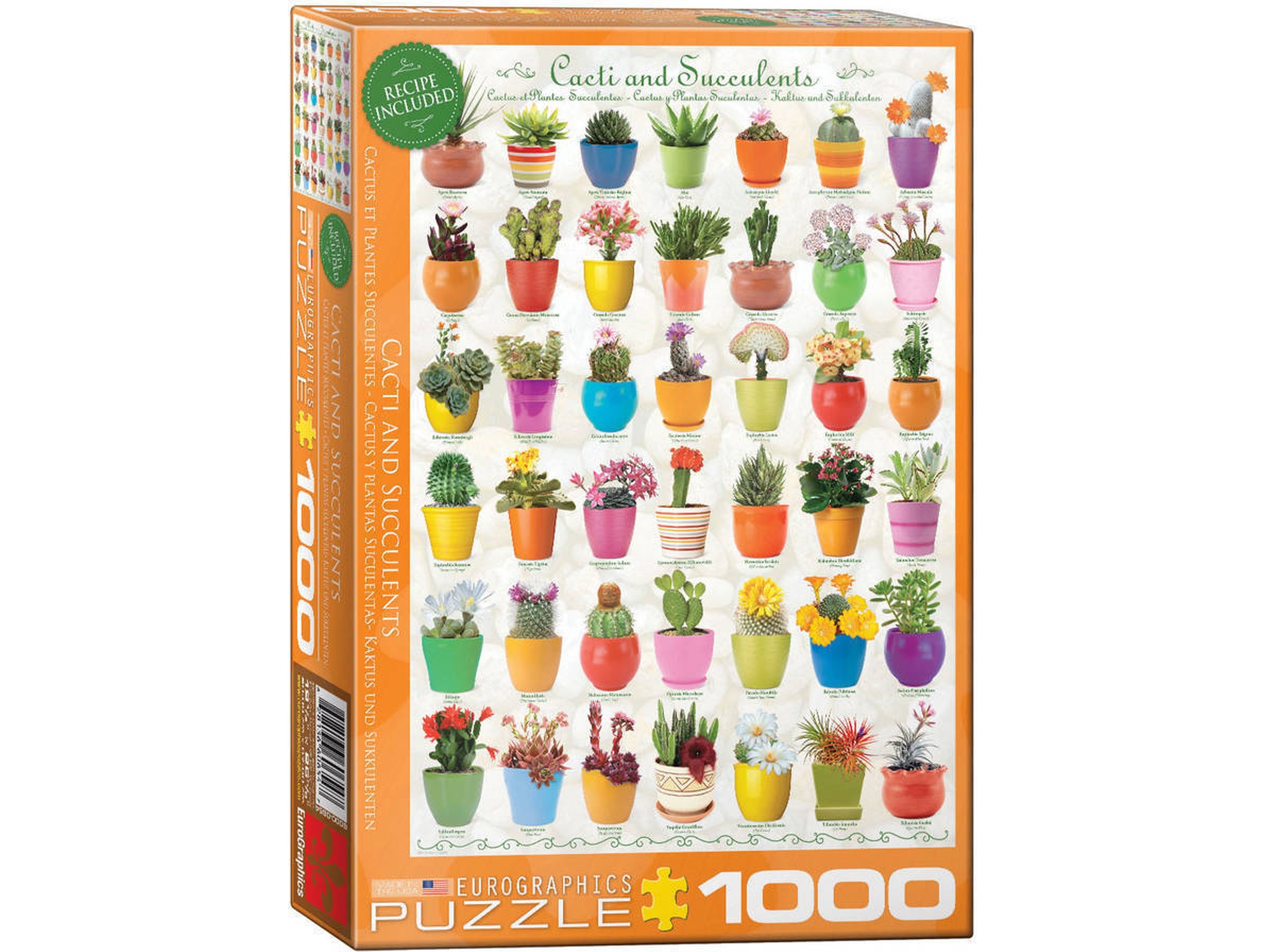 Puzzles EUROGRAPHICS Cacti & Succulents 1000 pcs (1000 piezas)