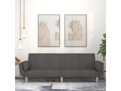 Sofá Cama De 2 Plazas Con Dos Almohadas Tela Gris Oscuro