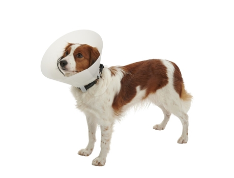 KRUUSE Buster Coleira Elisabetana Clássica Opaca 30 Cm Cães 25 a 35 Kg 10 Unidades