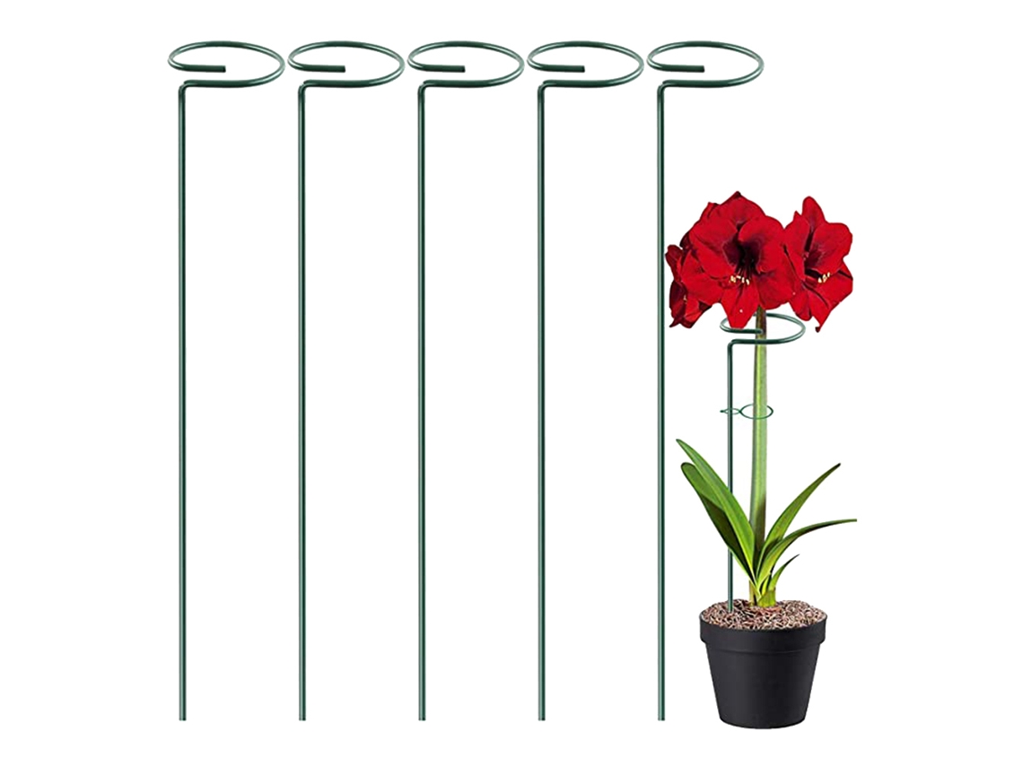 Unidades de soporte para plantas Soporte para tallos individuales Anillos de soporte para jaulas de amaryllis Jardín