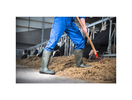 Botas BEKINA Seguridad Steplite Easygrip Verde (41)