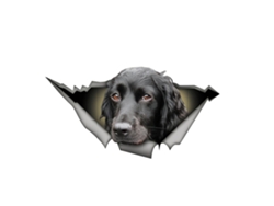 Pegatina 3d De Perro, Diseño Personalizado, Para Coche, Ventana Rota, Pared, Cuaderno, Adhesivo Impermeable.