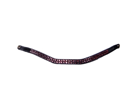 Frontal para el caballo PRESTEQ StarGlow