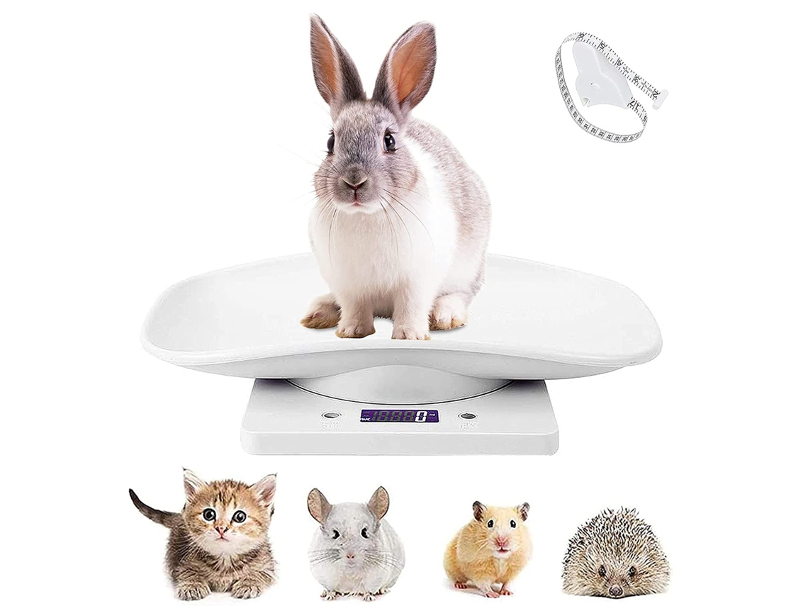Báscula electrónica LCD para animales pequeños, 10 kg, para cocina y panadería. Jeiibrzui