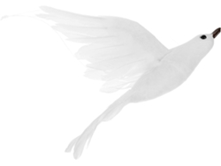 Gaviota Artificial Ligera De Espuma Con Apariencia De Pluma. Decoración Colgante Para Oficina Y Hogar. Atractiva Figura