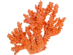 Figura Decorativa De Coral Delicada Para El Hogar Y La Oficina. Escultura Decorativa.