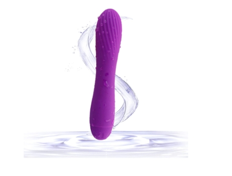 Vibrador Femenino Coqueteo Equipo De Masturbación Juguetes Sexuales Para Adultos Carga Usb 10 Modos Púrpura BISBISOUS