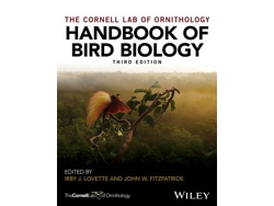 Libro Handbook of Bird Biology, 3e de I Lovette (Inglés - Tapa Dura)