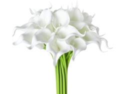 20 piezas de flores artificiales de cala para decoración de fiestas, bodas, ramo de flores para el hogar, tacto real