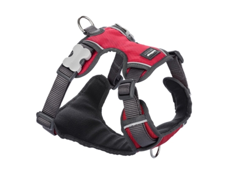 Arnes RED DINGO (Muticolor - - XS)
