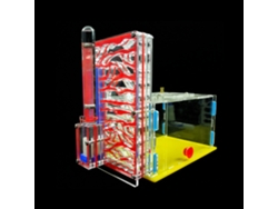 Hormigas Nest DIY T-design con área de alimentación de acrílico para insectos