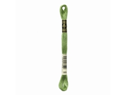 Hilo de Bordar DMC Mouline 117Mc Verde 989