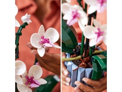 Lego 10311 Orquídea