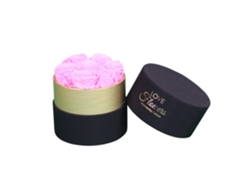 7 rosas naturales preservadas de color rosa claro LOVE Flowers - Colección Gold Circle Rose