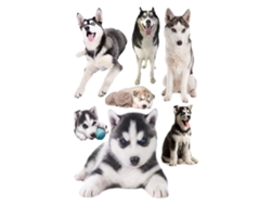 Pegatinas de Perros 3D Decoración para Habitaciones