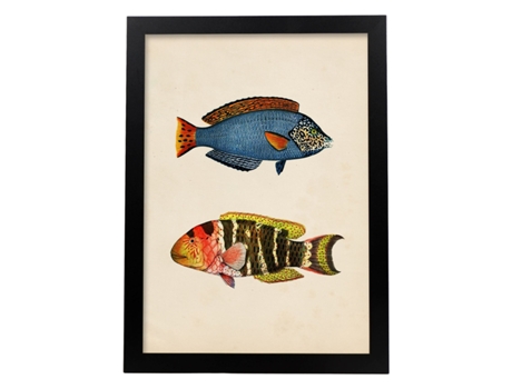 Póster NACNIC de Dos Peces Azul, Rojo, Amarillo y Naranja en , Fondo Papel Vintage.